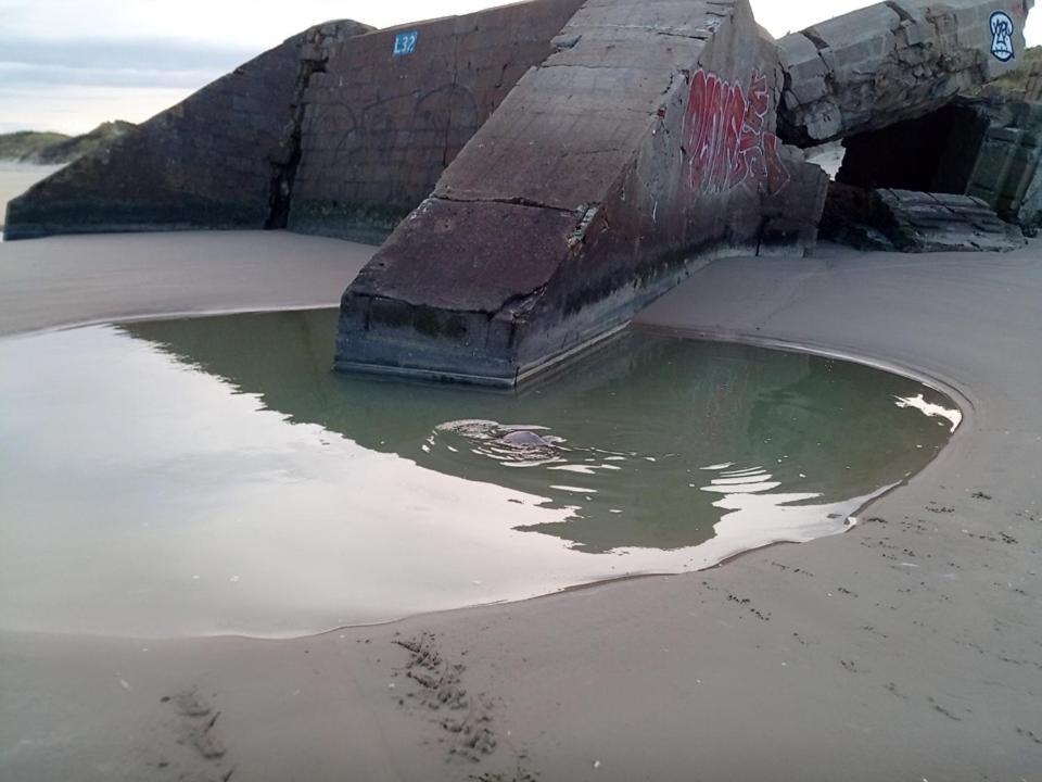 Joe Cocker Apartment Dunkirk Екстериор снимка